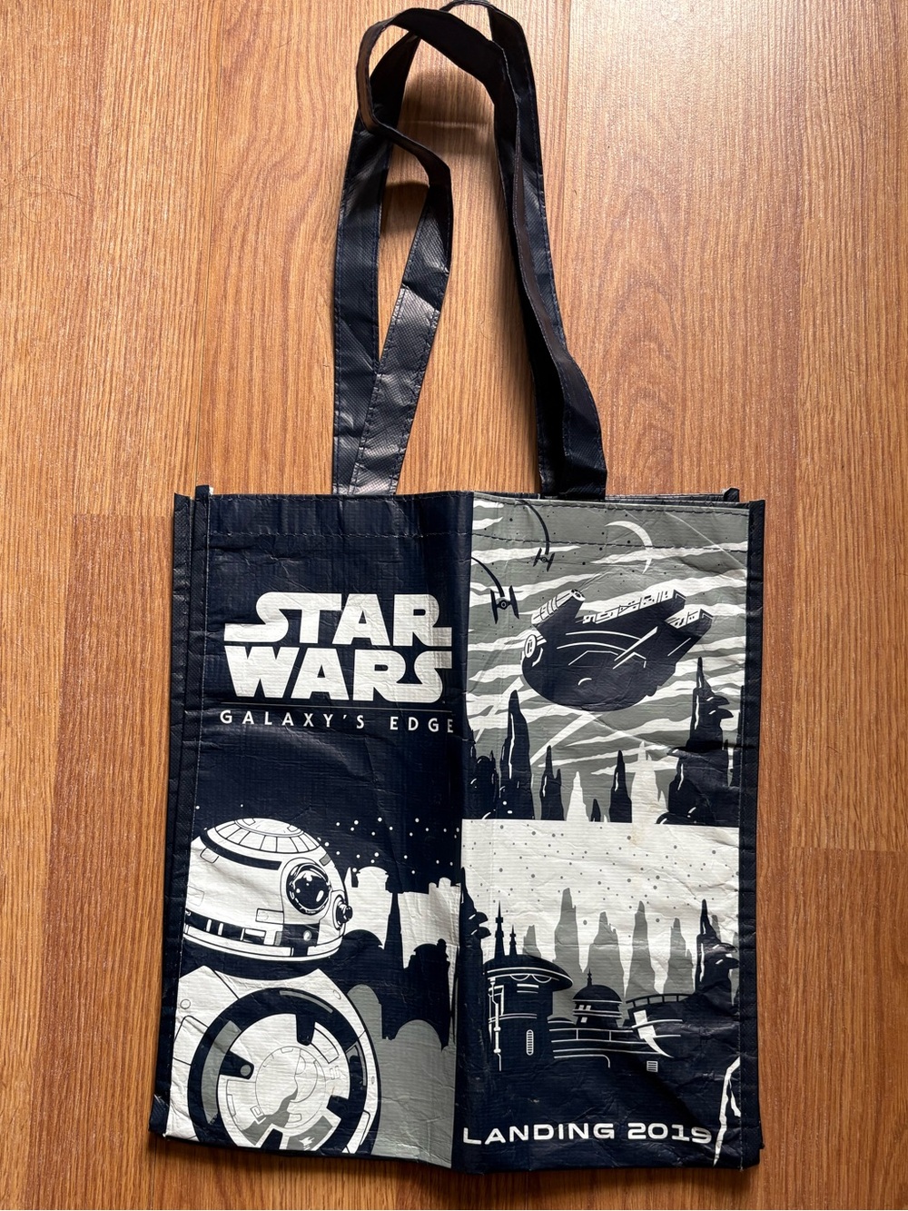 Disney Parks Star Wars Galaxy's Edge Landing 2019 Reusable Bag